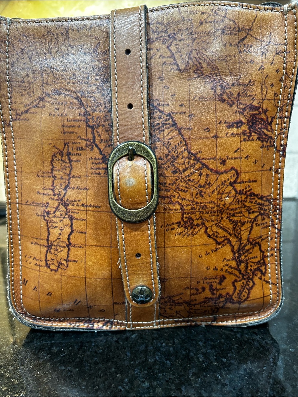 Patricia Nash Venezia Pouch Crossbody Signature Map Riot Rust